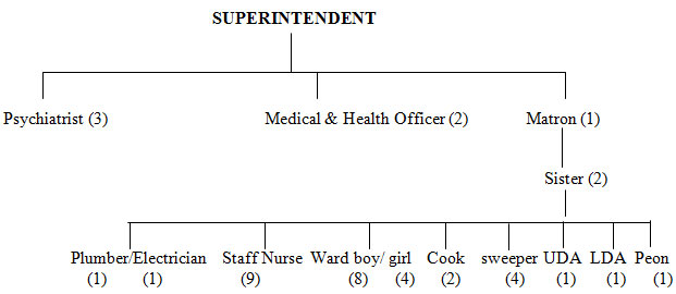 Organisational Chart MIMHANS